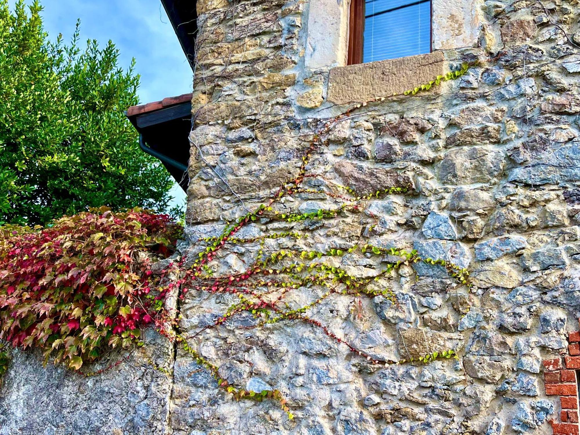 Casona Molinos Del Agua Apartment Arnuero Exterior foto